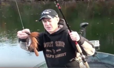 Baby Beaver Baits for Muskies: Would You Throw One?