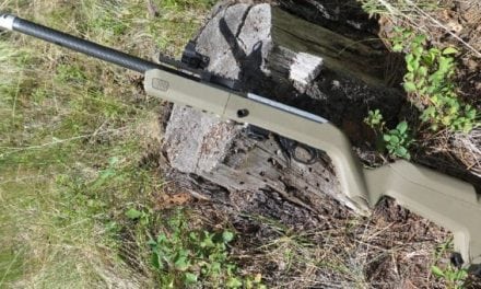 Here Are 5 of Our Favorite Ruger 10/22 Accessories