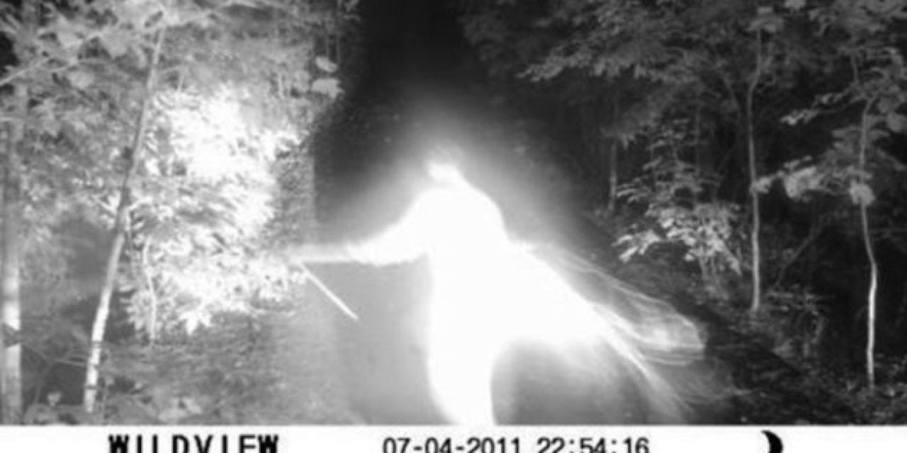 The Ultimate Trail Camera Scare Tactic