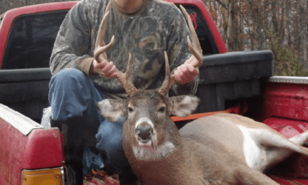 Mississippi’s 2016 Deer Harvest Was the Lowest In 31 Years
