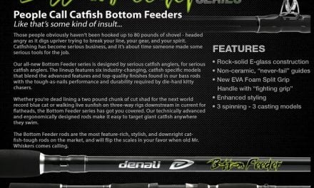 Denali Bottom Feeder Casting Rod For Catfish