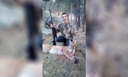 South Dakota Teen Sets Up in Playhouse, Takes Down Goat-Killing Mountain Lion