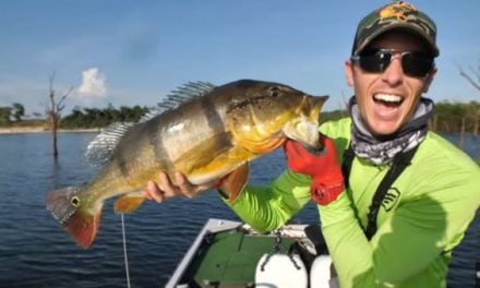 Video: Lake Fork Guy Fishes Topwaters for Giant Peacock Bass in the Amazon