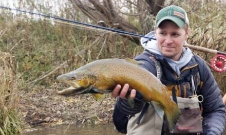 Make Fly Fishing A Little Easier with Appalachian Furled Leaders