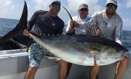 Record-book yellowfin tuna caught by Venice angler