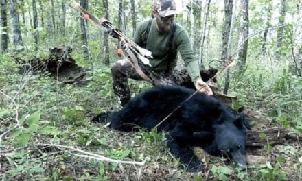 A Public Land Traditional Archery Bear Hunt in Arkansas Is Not for Sissies