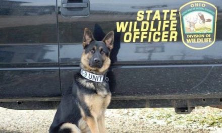 Ohio Division of Wildlife Will Be Using K-9’s in 2018