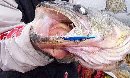How To Use the Jigging Rap for Walleyes