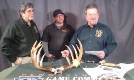 New Pennsylvania Whitetail Record Officially Announced This Month