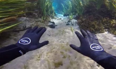 Video: Jiggin’ with Jordan Explores and Attempts to Feed the Fish in an Insanely Clear Spring