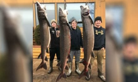 2018 Sturgeon Spearing Season Results Are In