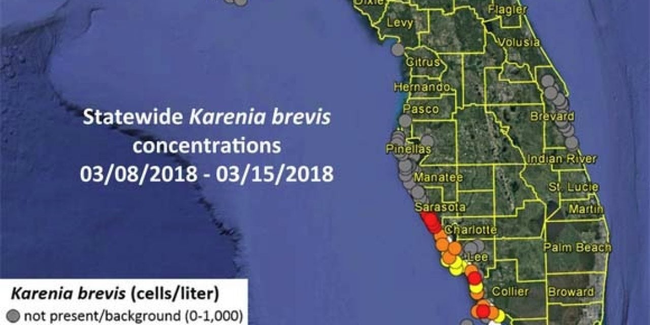 Red Tide Getting Worse