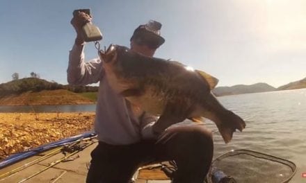 Video: Watch This Guy Hook and Land a 17-Pound Bass