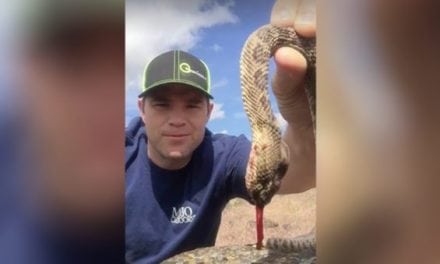 How to Kill a Rattlesnake with Your Hands