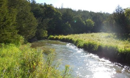 Improvements for Long Pine Creek