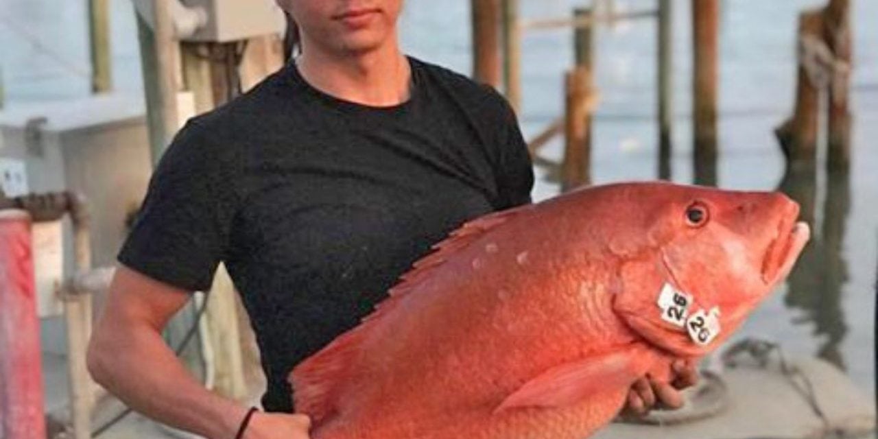 Texas fisherman reeled in record-breaking dogtooth