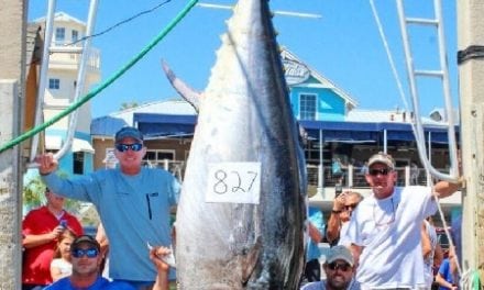 FWC approves new Florida Saltwater Fishing Records