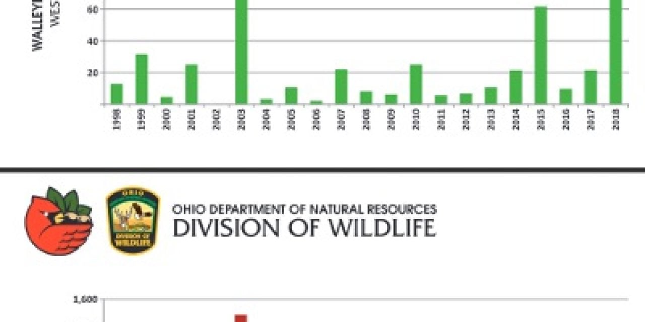 Lake Erie Western Basin Walleye Yellow Perch Numbers Strong