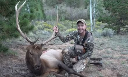 Video: LunkersTV Bags His First Bull Elk on Public Land in Colorado