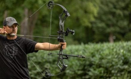 Bow Sights: Everything You Need to Know