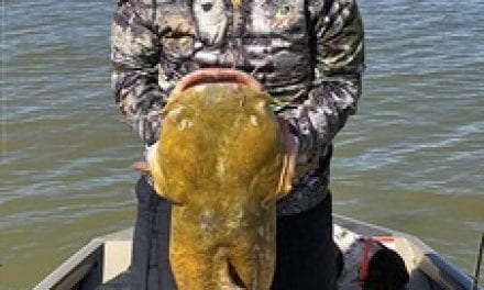 Elephant Butte Lake, N.M. Produces A Monster Cat