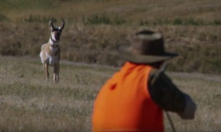 Check Out Ron Spomer’s Wyoming Pronghorn Hunt