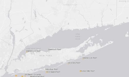 Digital Mapper Of New York Artificial Reef