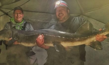 Video: Angler Pulls 120-Pound Sturgeon Through Minnesota Ice