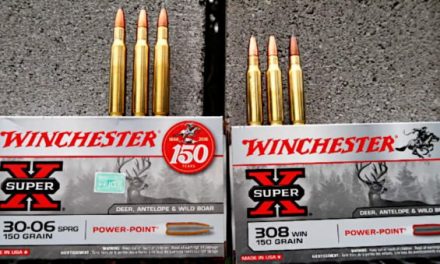 .308 vs .30-06: What’s Better, and for What Uses?