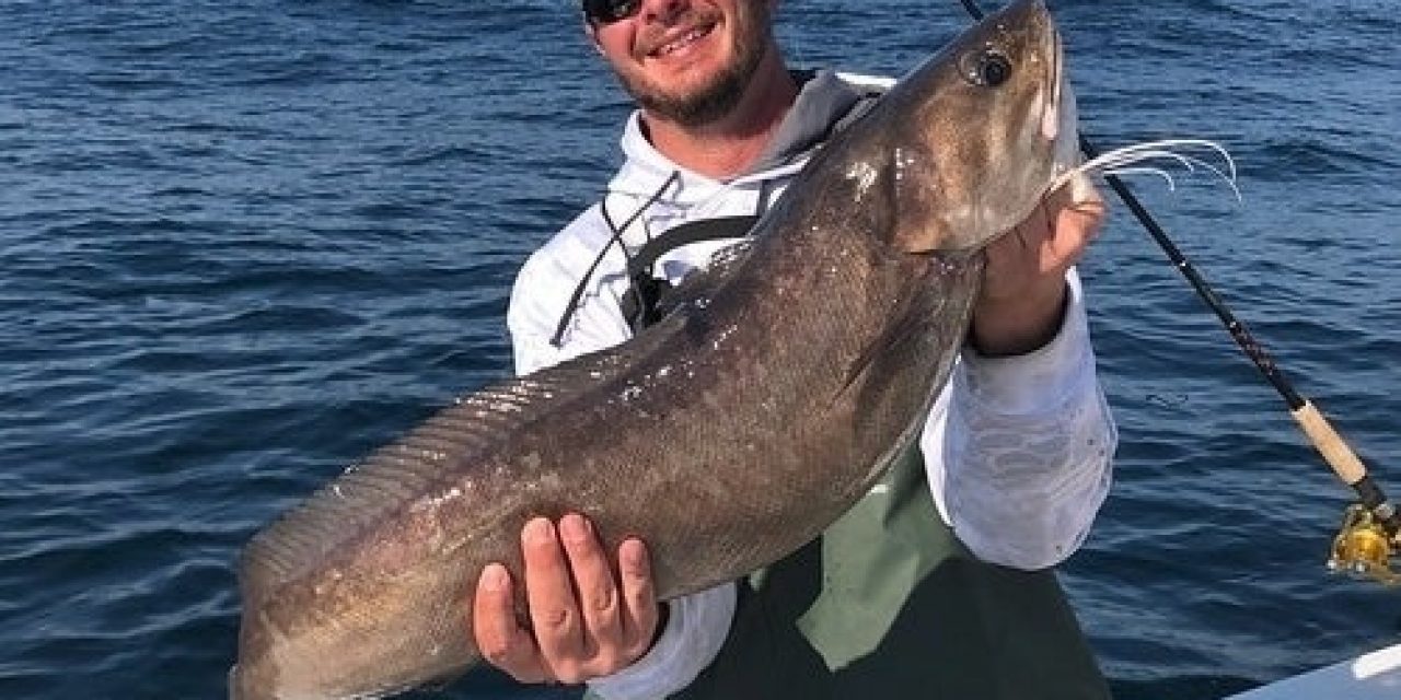 2 Maryland Fishing Records Set For ‘Monster’ White Hake, Catfish