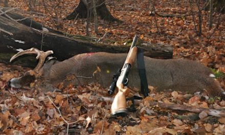 The Legalities, Trends, and Efficacy of Deer Hunting with Shotguns