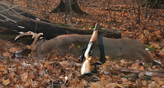 Deer Hunting with Shotguns