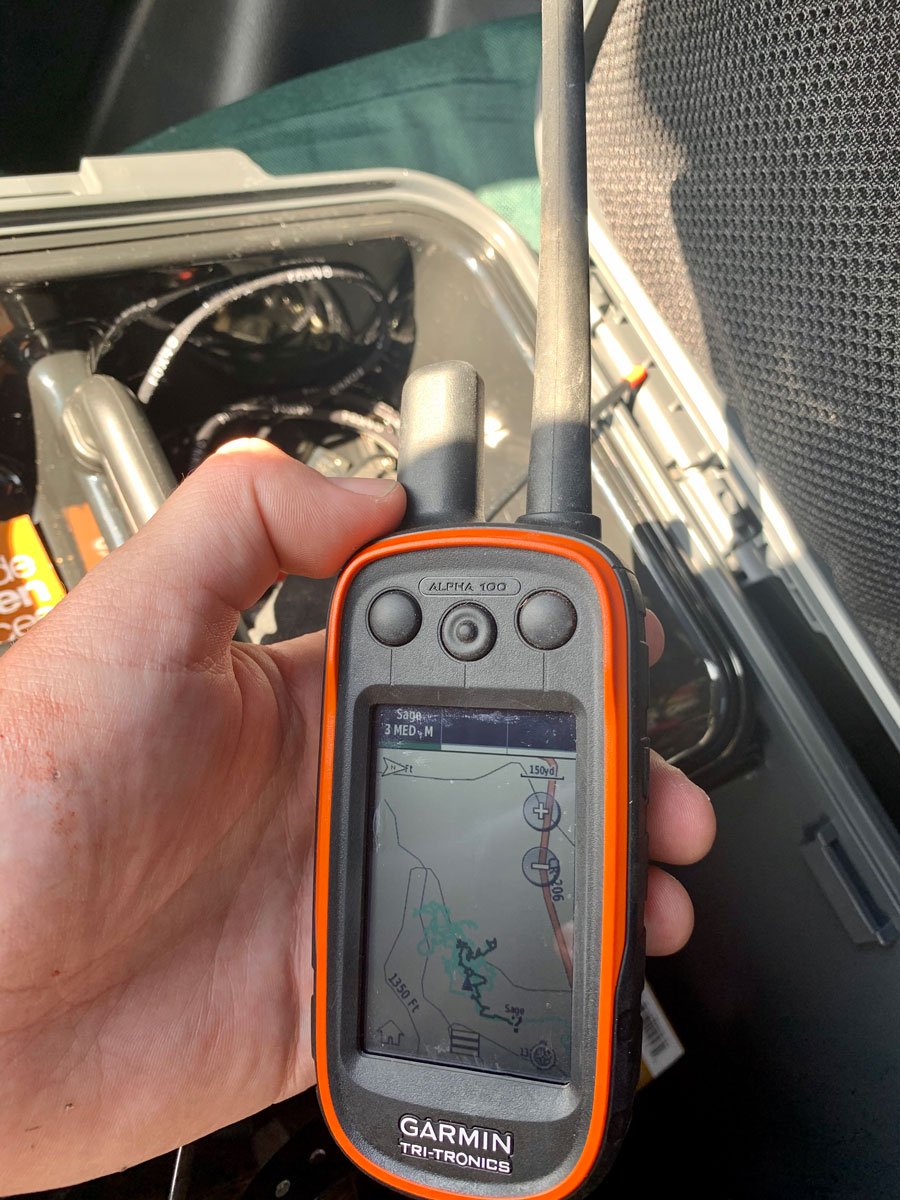 Garmin Alpha 100 The GPS Training Collar That Turned My Pup Into A 