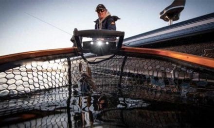 Frabill Trophy Haul Nets: Optimal for Conservation, Not to Mention Toothy Fish