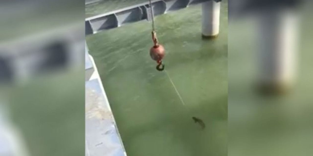 This Guy Actually Landed a 5-Pounder With a Construction Crane
