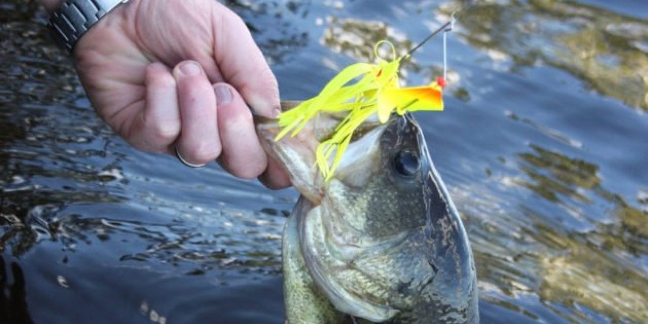 5 Bass Fishing Lures You Should Always Keep on Deck