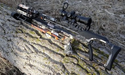 Crossbow for Spring Wild Turkey Hunting