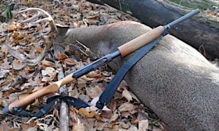 Minnesota Mulling Over Eliminating Shotgun Zones for Deer Hunting