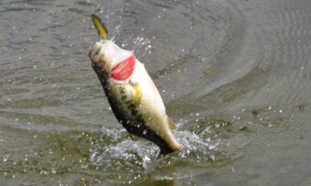 What to Use for Spring Bass Fishing: A Complete Guide