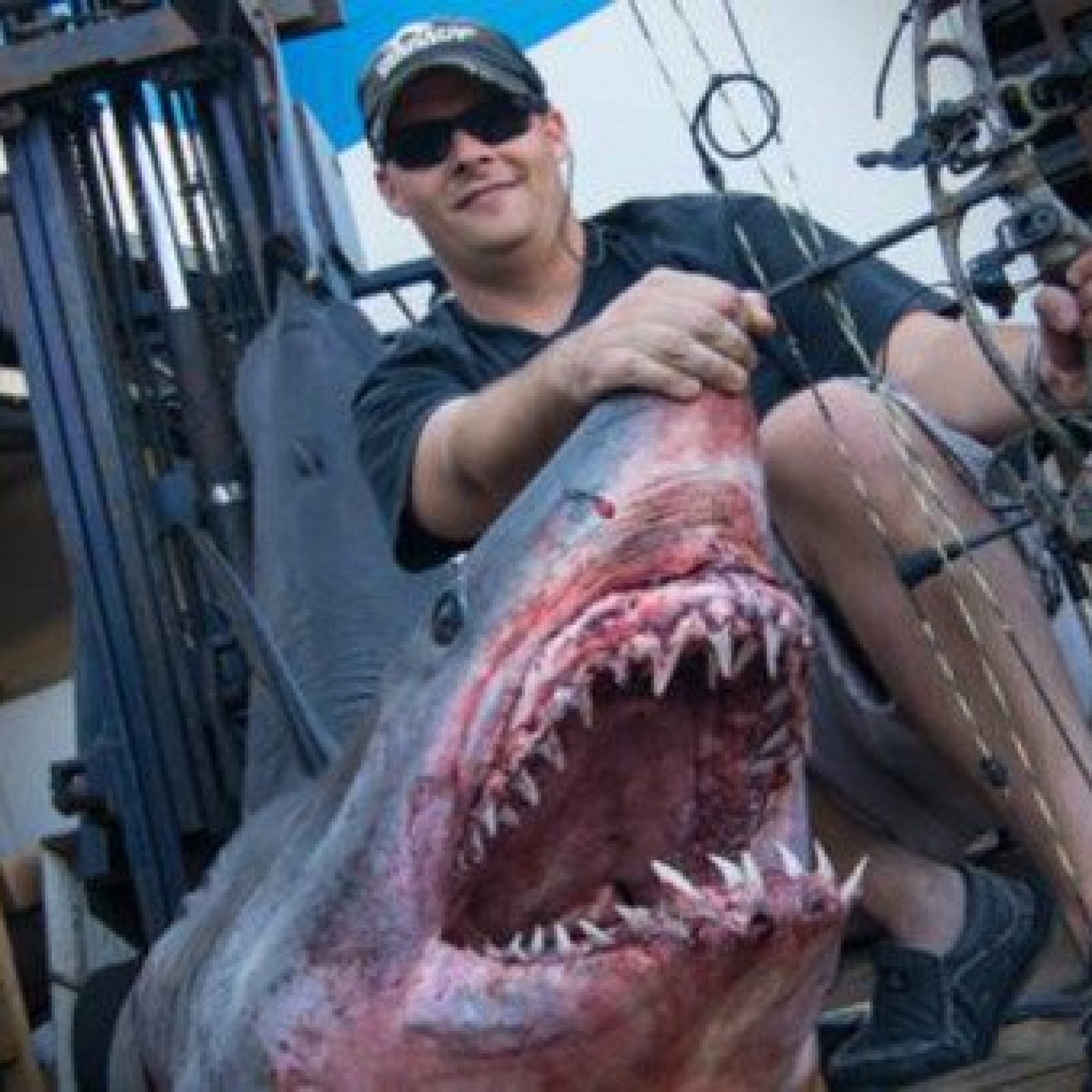 Footage Shows WorldRecord Mako Shark Taken by Bow ⋆ Outdoor Enthusiast