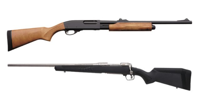 Shotgun vs Rifle for Deer