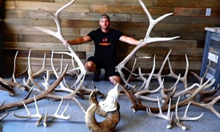 Check Out Some of Hushin’s Best Shed Antler Finds of 2020