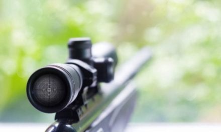 Determining the Best Rifle Caliber for Deer Hunting