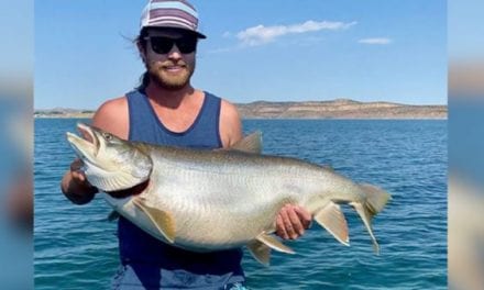 53-Pound, 15-Ounce Lake Trout Annihilates 32-Year-Old Utah State Record