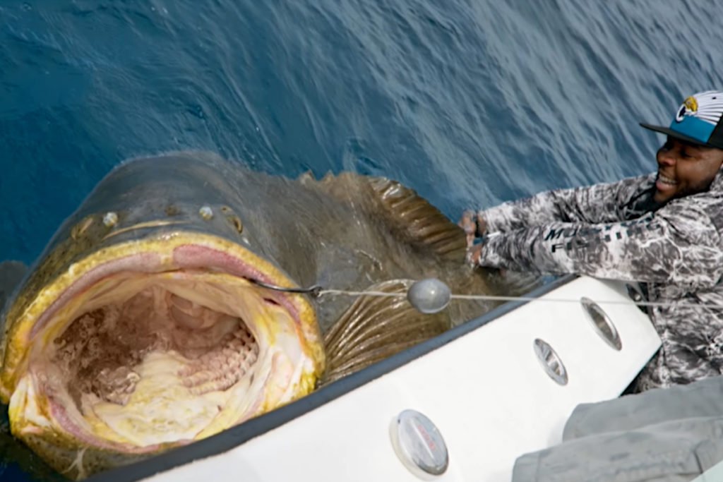 320-Pound Offensive Lineman Battles 400-Pound Goliath Grouper in Test