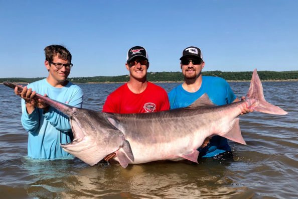 Oklahoma Produces New World Record Paddlefish For the Second Year in a Row
