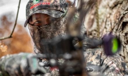 3 Questionable Hunting Scenarios: How To Deal With Them