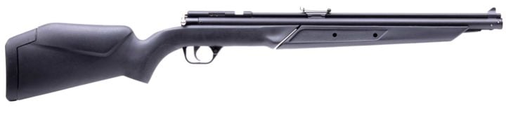 An Attractive Best Pellet Gun for Squirrels Guide Revealed