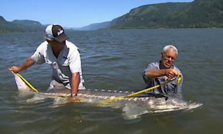 Jeremy Wade Battled a Giant, 8-Foot White Sturgeon for One of His Biggest Catches Ever