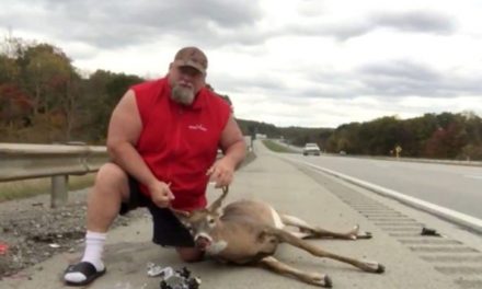 Man Thanks Fictional Hunting Sponsors After Hitting Buck With His Car